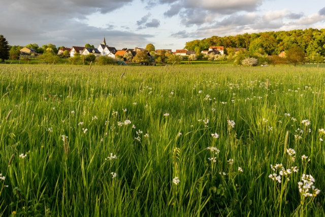 Ober-Bessingen