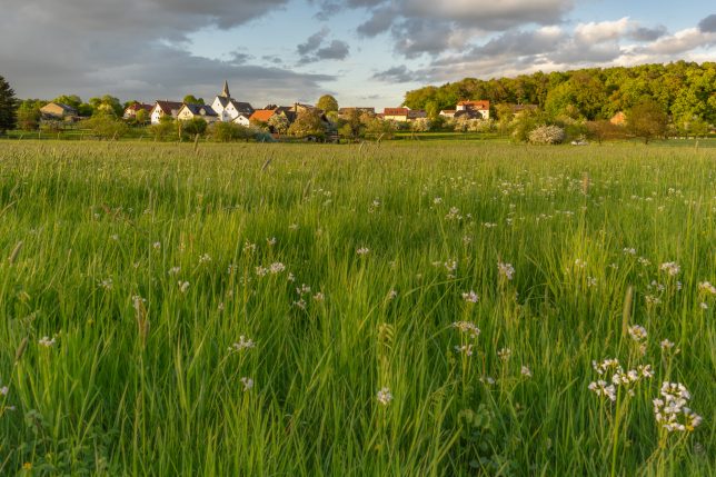 Ober-Bessingen